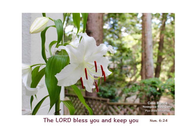 E7-4_Num_6-24_The Lord bless you