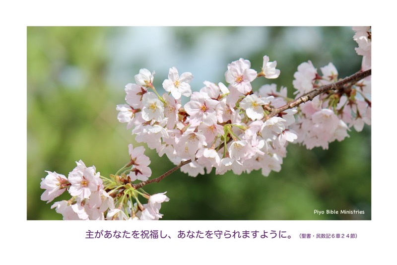 J4-3_Num.6-24_主があなたを祝福し_Sakura-1