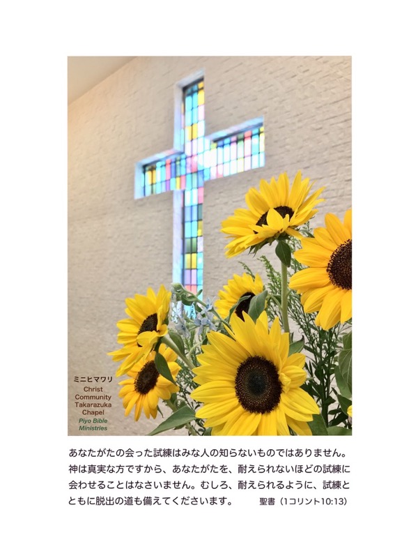 J6-8_ミニひまわりと十字架_2019-0616